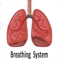 Breathing System
