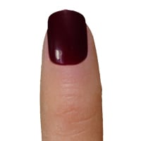 No.6