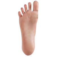 Standing Without Bolts/Hard Feet (FREE)