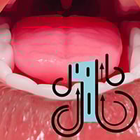 Oral Sucking (FREE)