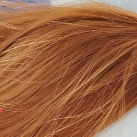 H01#