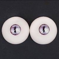 No.6